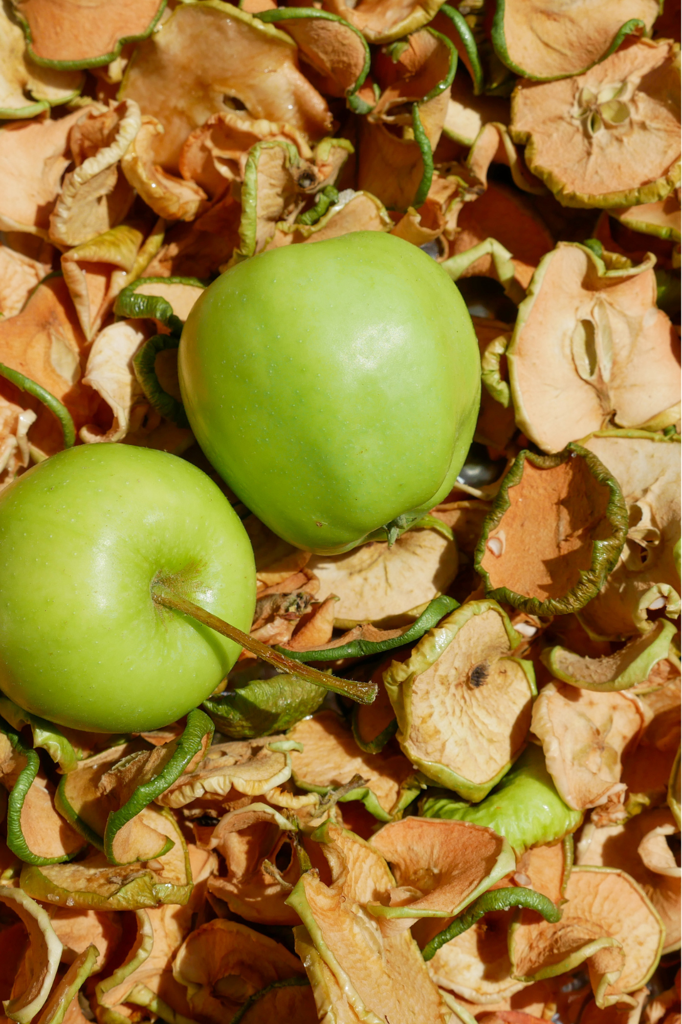 Αποξηραμένο πράσινο μήλο σε φέτες (συσκευασία 100g)